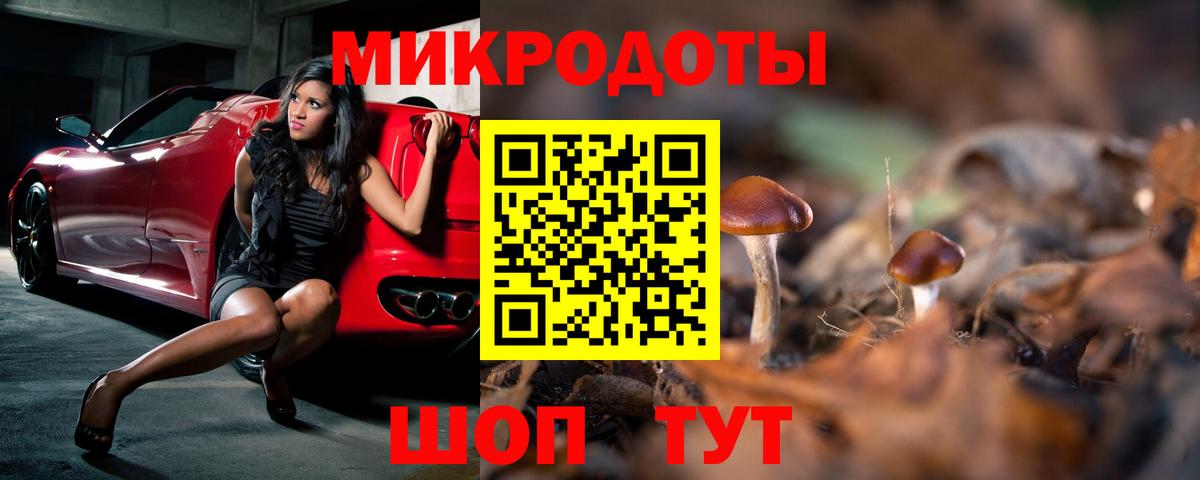 Галлюциногенные грибы Psilocybine cubensis Геленджик